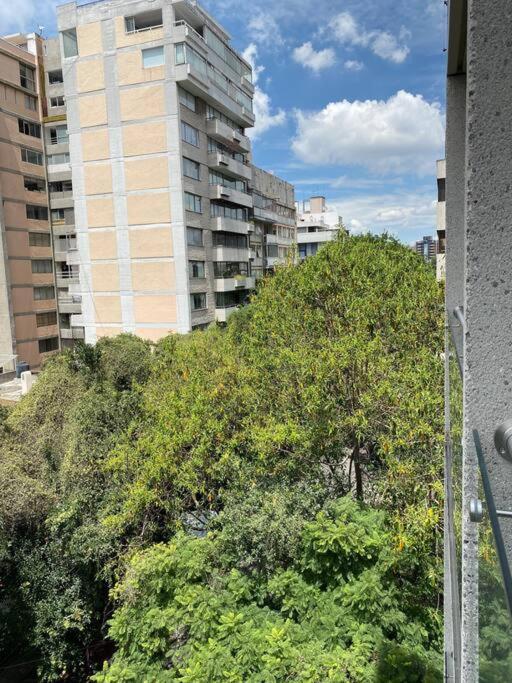 מקסיקו סיטי Black Loft. Moderno Y Nuevo, Super Ubicado. מראה חיצוני תמונה