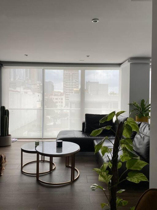 מקסיקו סיטי Black Loft. Moderno Y Nuevo, Super Ubicado. מראה חיצוני תמונה